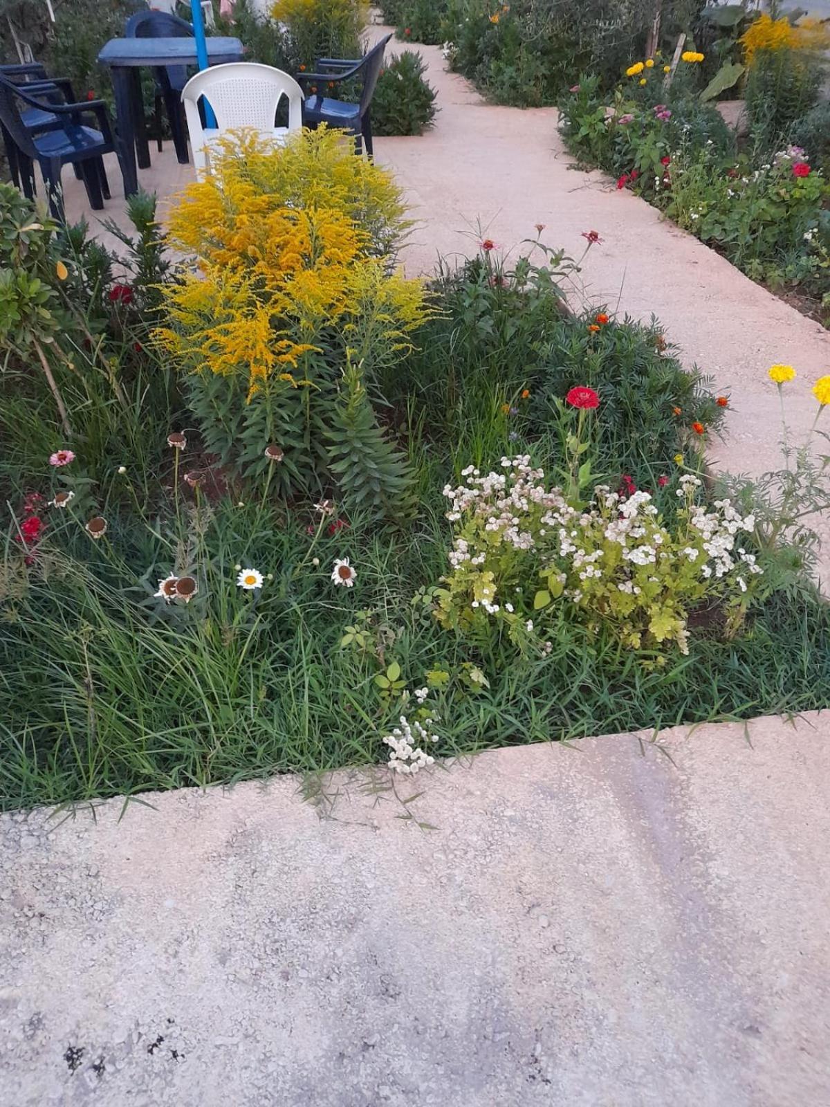 Hotel Rey Garden 2 Wlora Zewnętrze zdjęcie